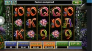Enchanted_2.webp