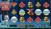 Wolf Cub - Feature BIG WIN bet £0.20 WIN £62.10.webp Wolf Cub - Feature BIG WIN bet £0.20 WIN £62.10.webp