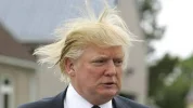 trump.webp