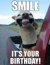 49583cbe0d15812c5359709b9c97c0ef--funny-birthday-quotes-birthday-memes.webp 49583cbe0d15812c5359709b9c97c0ef--funny-birthday-quotes-birthday-memes.webp