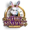 WhiteRabbitSlot_BTG.webp WhiteRabbitSlot_BTG.webp