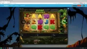 jungle.webp