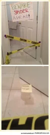 cool-spiders-bathroom-line-danger.webp