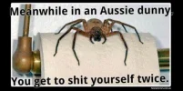 aussie-dunny-meme.webp