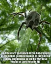 spiders.webp