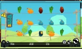 Birds.webp