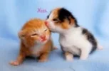 Untitled.webp Untitled.webp