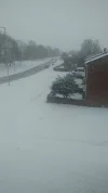 snow.webp