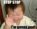 funny-pictures-e1394250765157.webp