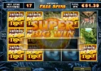 bigwin.webp