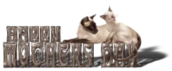 hmd-sadmousejunk.webp