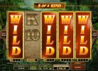spin2.webp