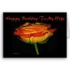 happy_birthday_to_my_wife_card-p137896520605066693b2wgi_400.jpg