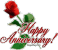 happy_anniversary_single_red_rose.gif