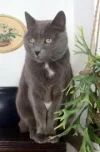 Zina.webp