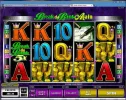BDBA5Coinswildmaxcoin.webp
