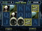 PandaSucks.webp