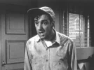 jim nabors.webp