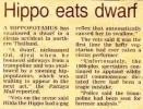 hippo.webp