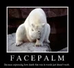 facepalm5.webp facepalm5.webp