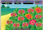 inet paradise dreams.webp