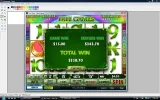 irish luck1.webp