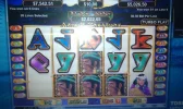 IMAG0277.webp