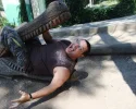 Zoo3.webp Zoo3.webp