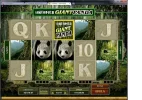 776 ggr 1630 dollar.webp