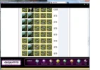 5.webp