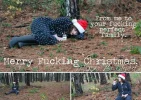 dec 15th.webp