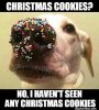 christmas cookies.jpg