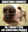 christmas cookies.webp christmas cookies.webp