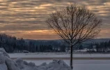 13.webp