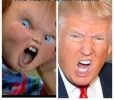 cd3d7114b365f051cadd80a4eef48839--donald-trump-donald-oconnor.webp