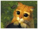 Please.webp Please.webp
