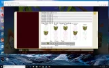 tikis.webp tikis.webp