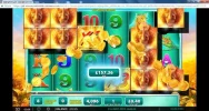 big rhino win 40p.webp