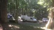 vehicles.webp