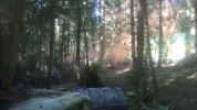 smoke.webp