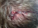 head shot1.webp