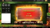 Sizzling spins 77.00.webp