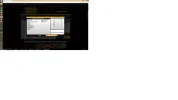 7.webp