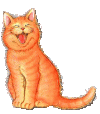 happycat.gif