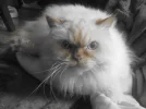284182_172045906194936_4837835_n.webp