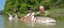 sturgeon.webp