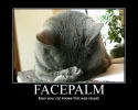 facepalm.webp