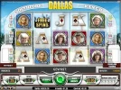 Dallas.webp