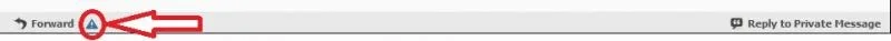 Report.webp