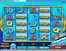 CoastX134_Aug12.webp